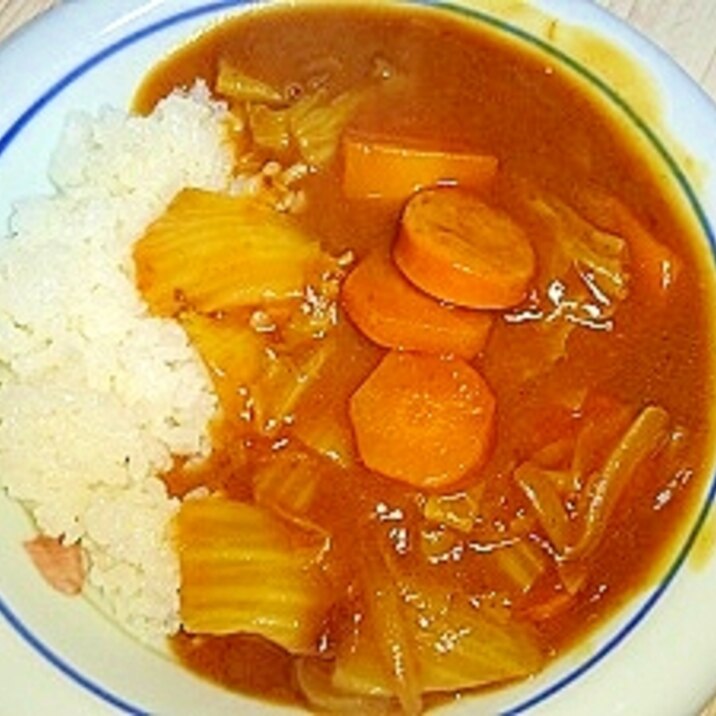 とろとろ白菜カレー